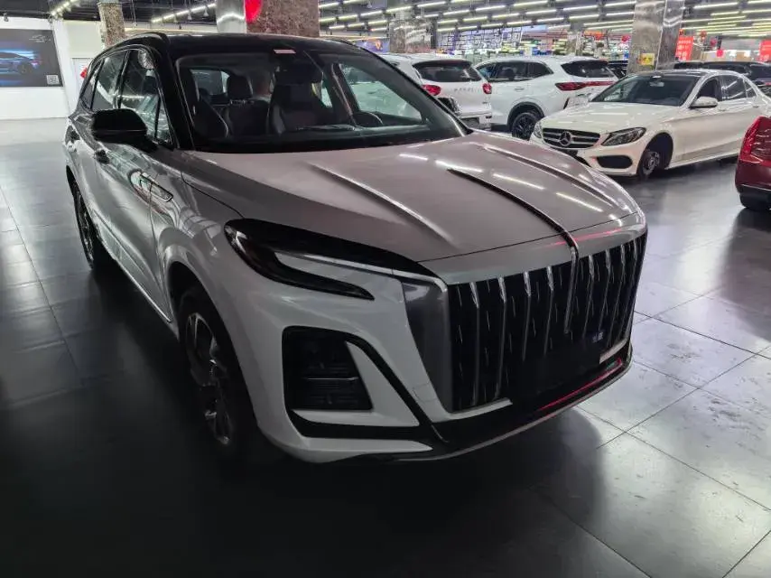 2024 HONGQI HS3 thumbnail 2