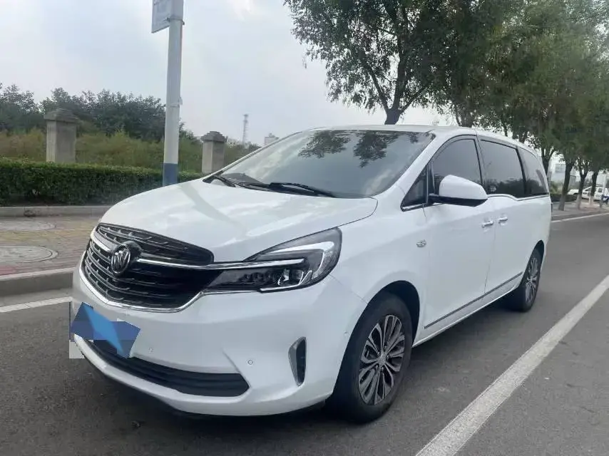 2021 BUICK GL8 view 1