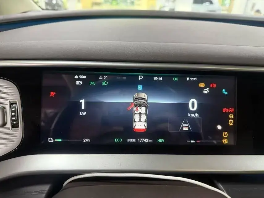 2024 DENZA D9 thumbnail 2