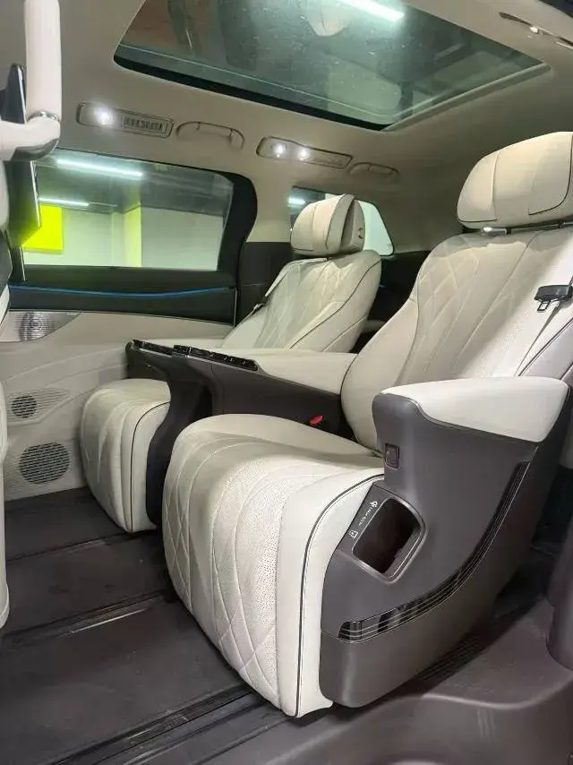 2024 DENZA D9 thumbnail 4