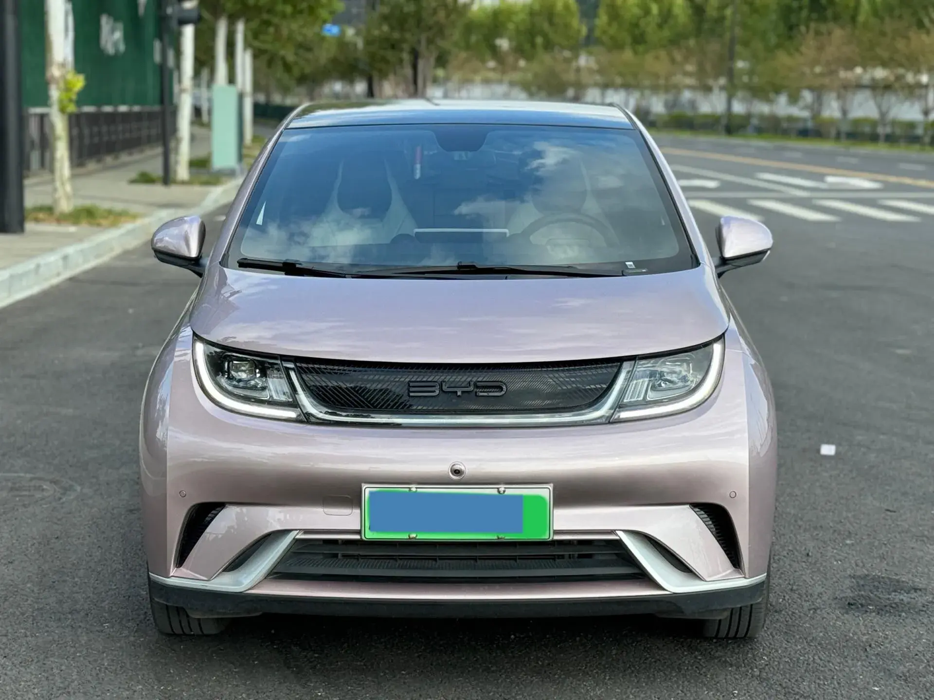 2021 BYD DOLPHIN thumbnail 2