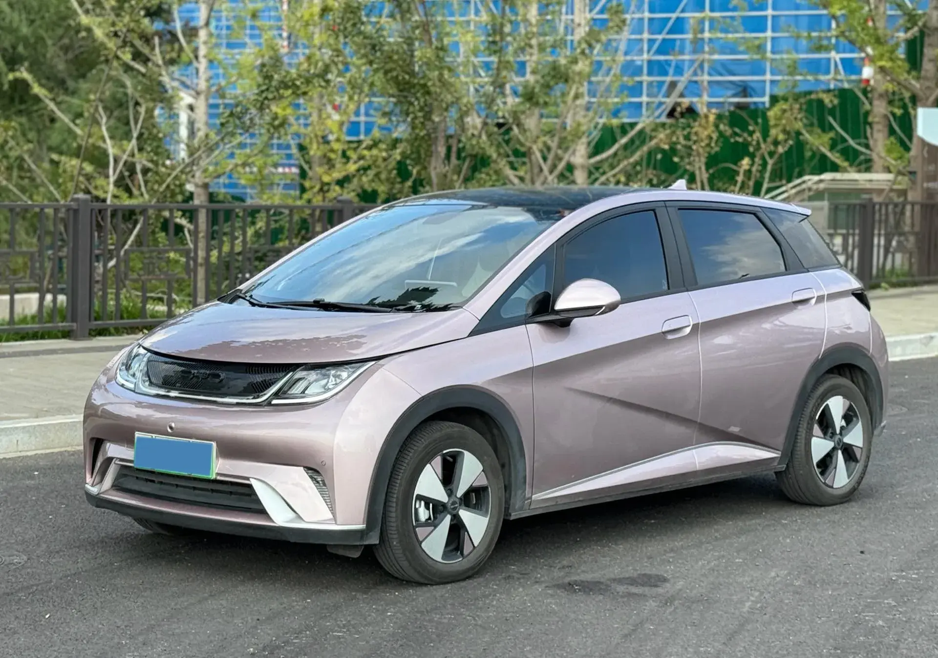 2021 BYD DOLPHIN view 1