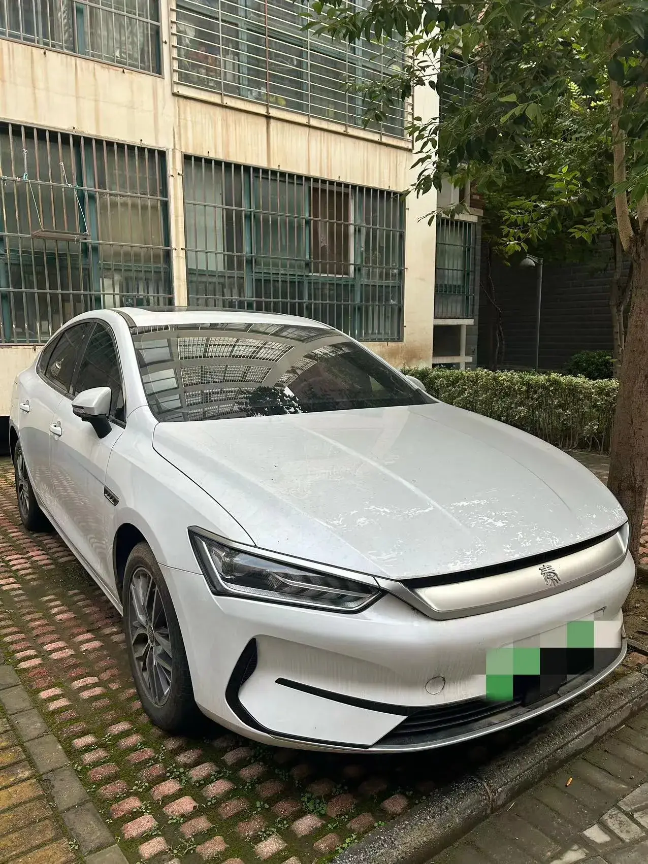 2023 BYD QIN thumbnail 2