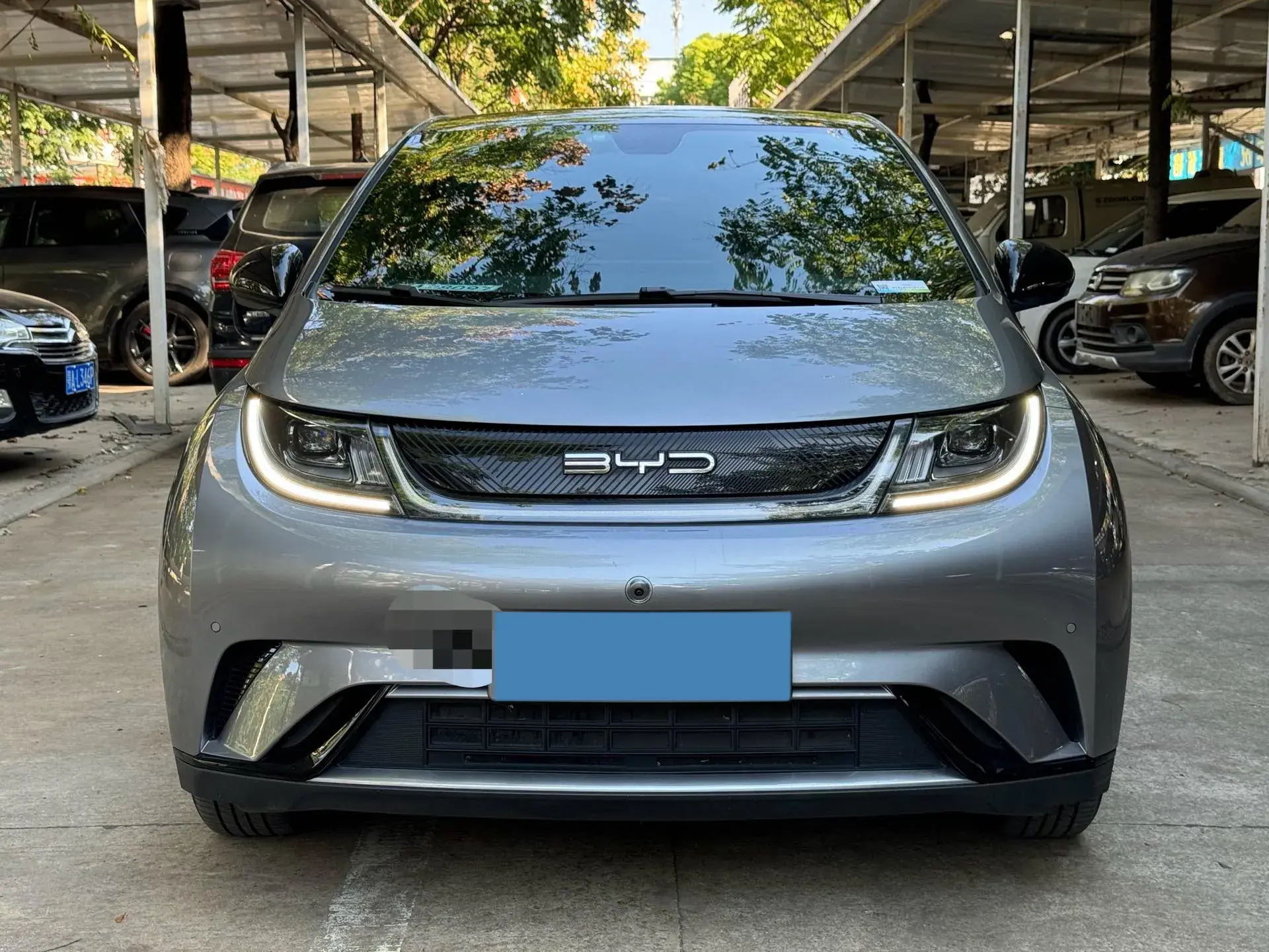 2024 BYD DOLPHIN thumbnail 2