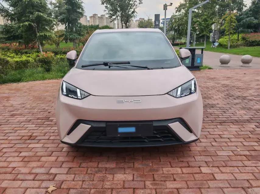 2023 BYD SEAGULL thumbnail 2