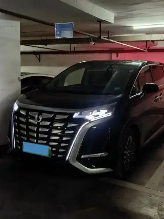 2022 DENZA D9 view 1