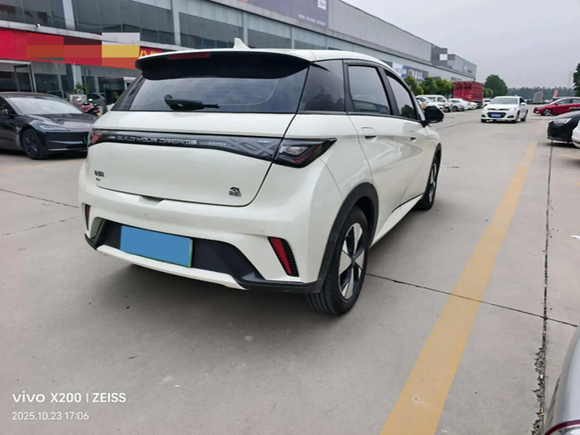 2024 BYD DOLPHIN thumbnail 4