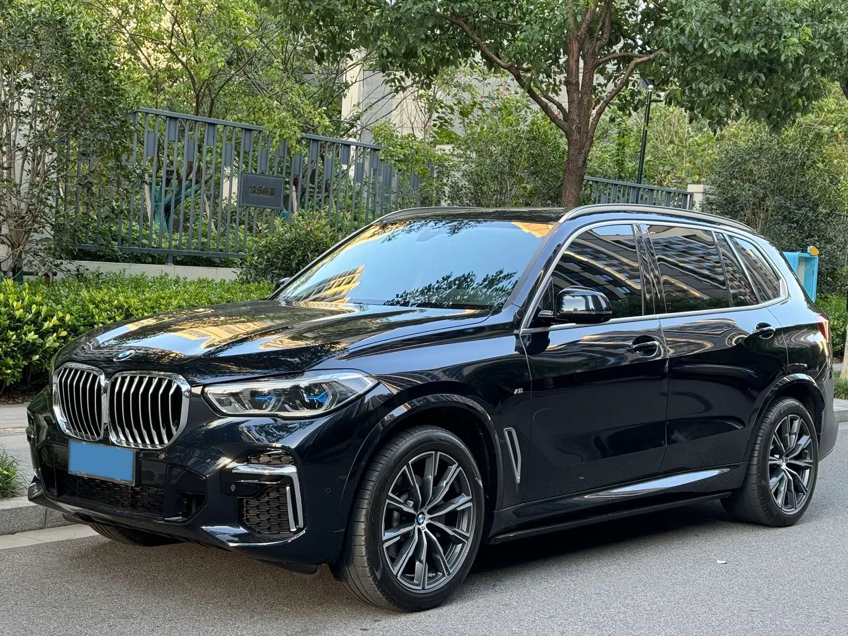 2022 BMW X5 view 1