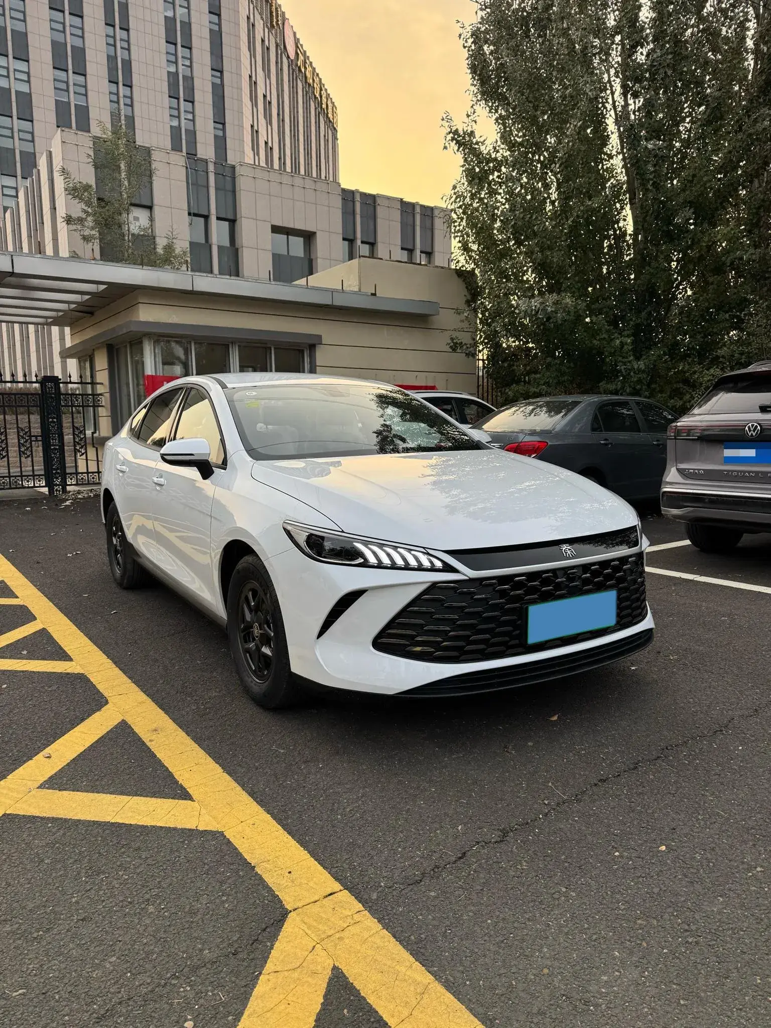 2025 BYD QIN thumbnail 2