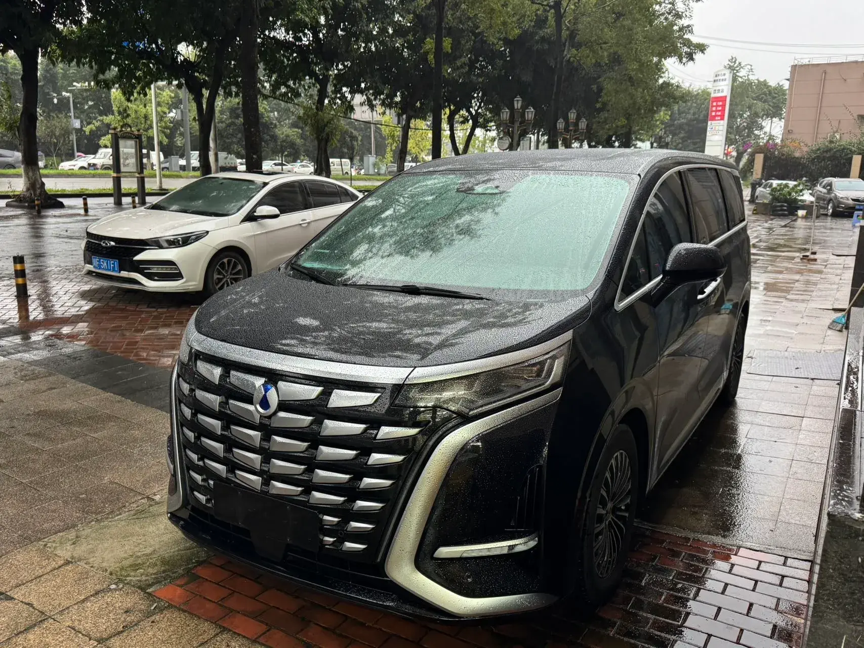 2022 DENZA D9 view 1