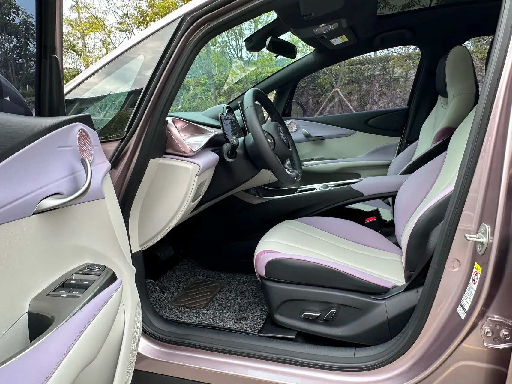 2021 BYD DOLPHIN view 1