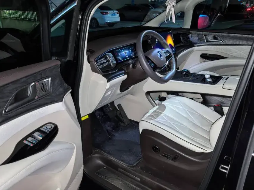 2024 DENZA D9 thumbnail 2