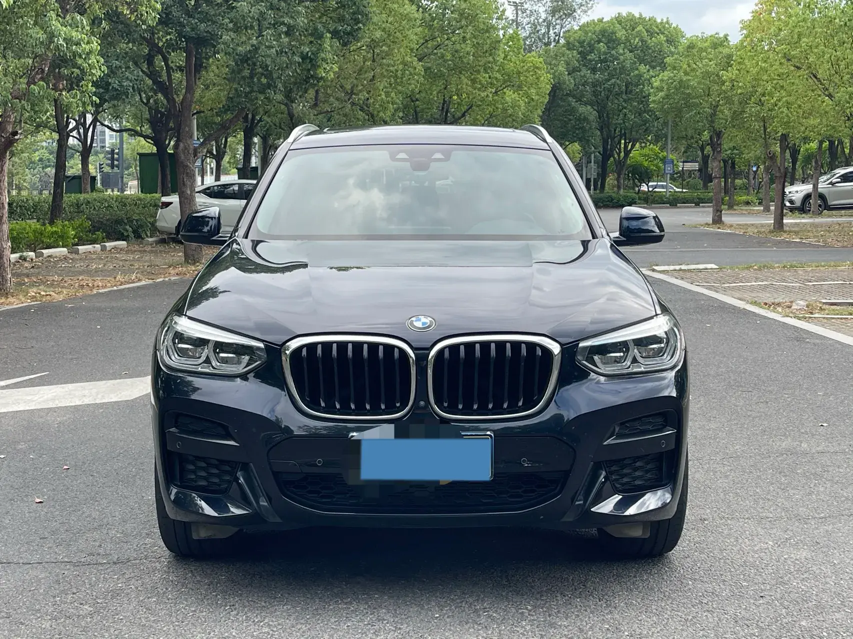 2021 BMW X3 thumbnail 2