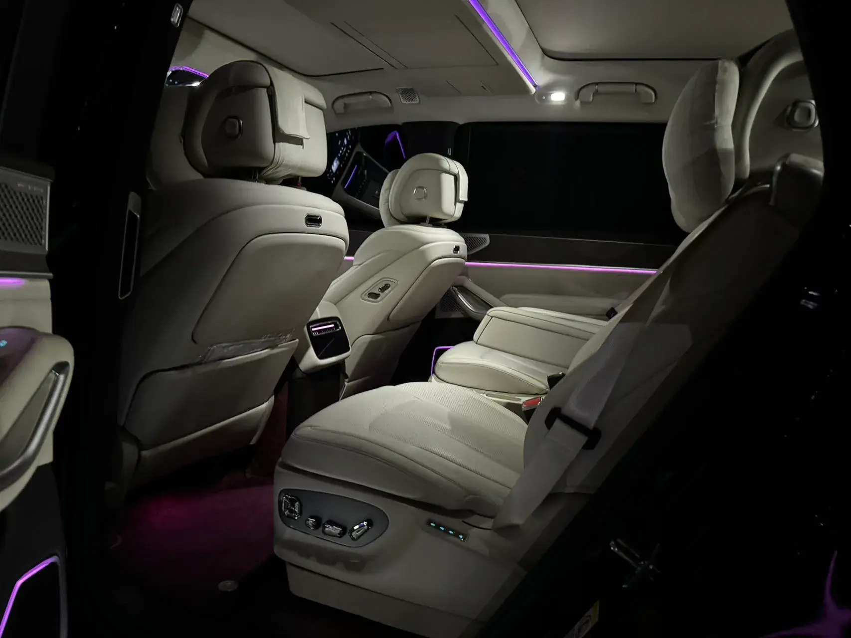 2025 DENZA DENZAN9 thumbnail 3