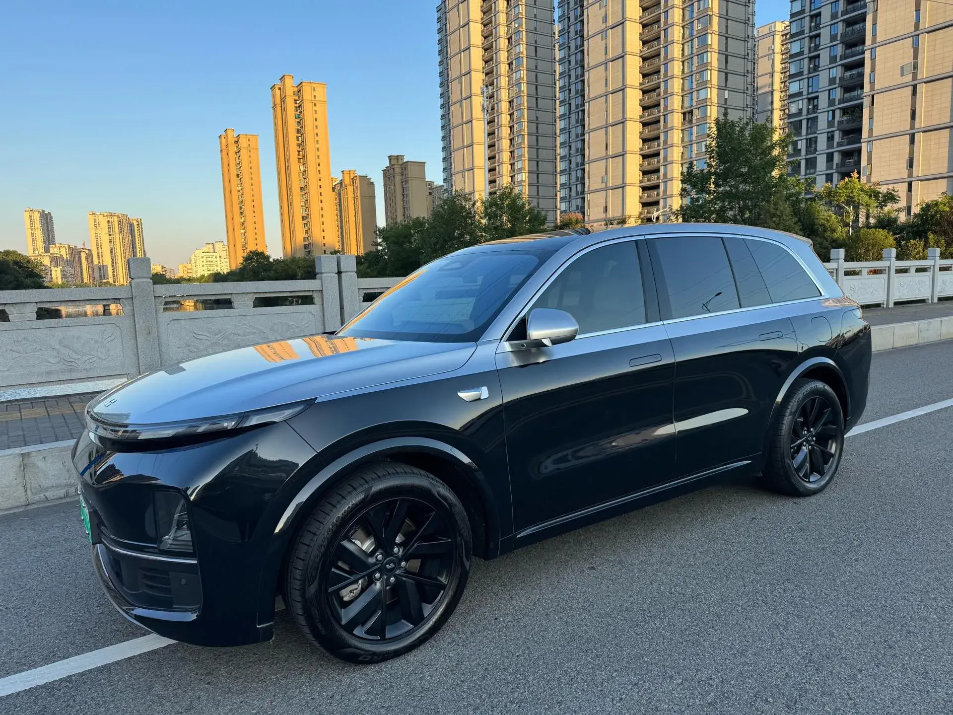 2023 LI L8 thumbnail 3