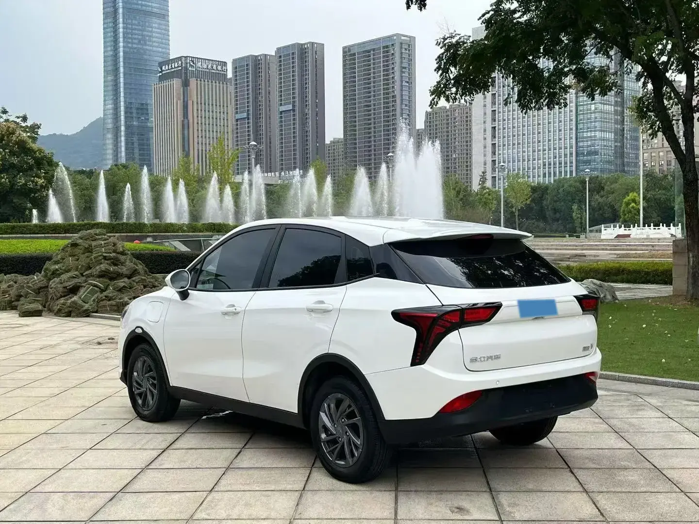 2021 NETA V thumbnail 4