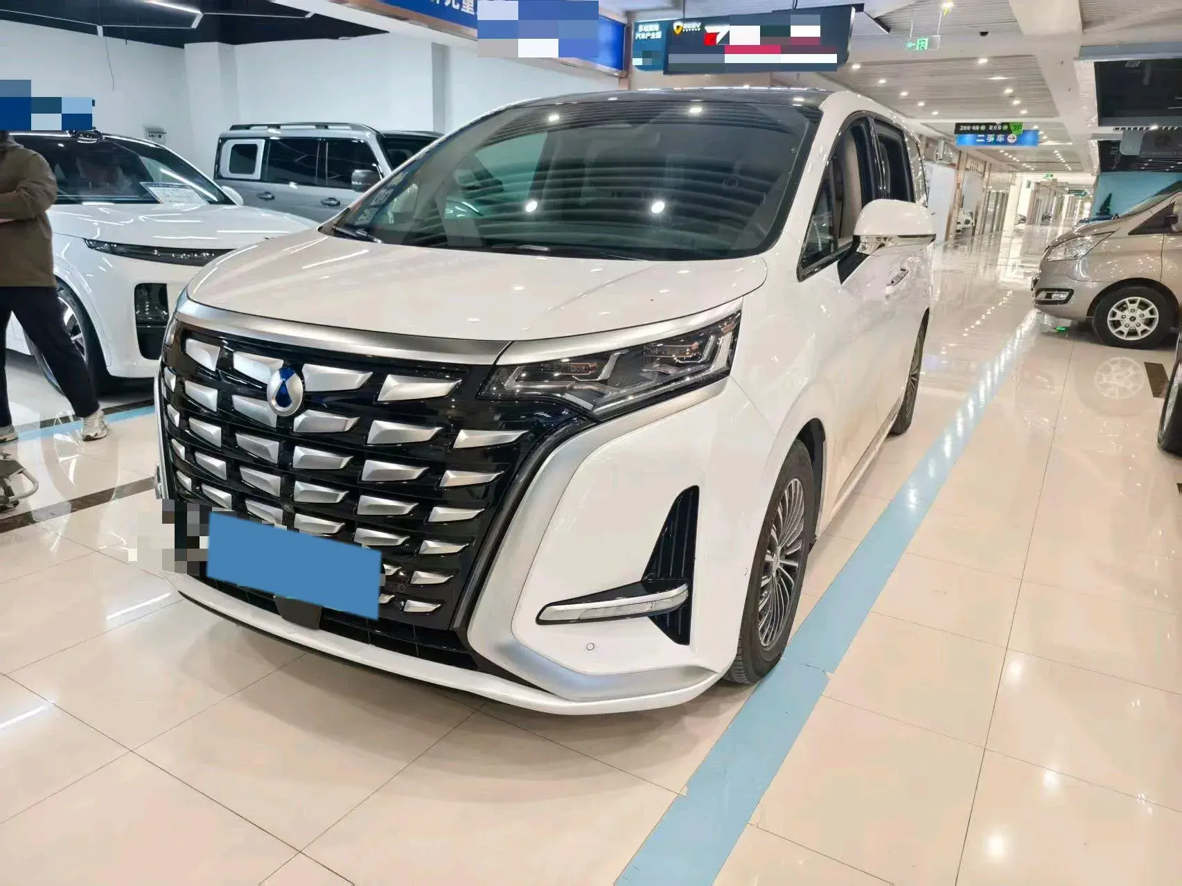 2022 DENZA D9 view 1