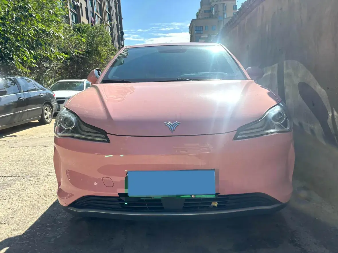 2021 NETA V thumbnail 2