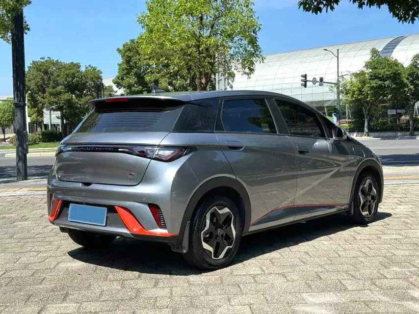 2021 BYD DOLPHIN thumbnail 4