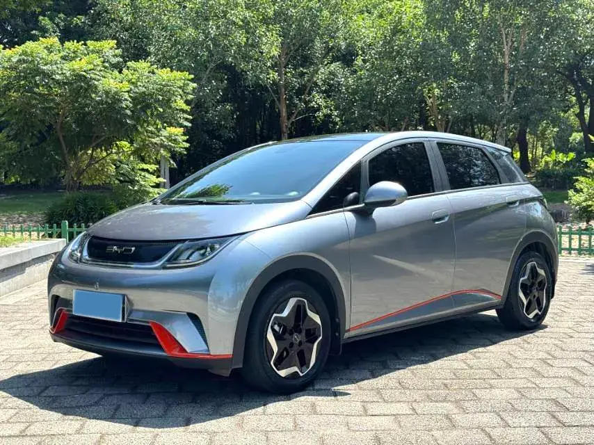 2021 BYD DOLPHIN view 1