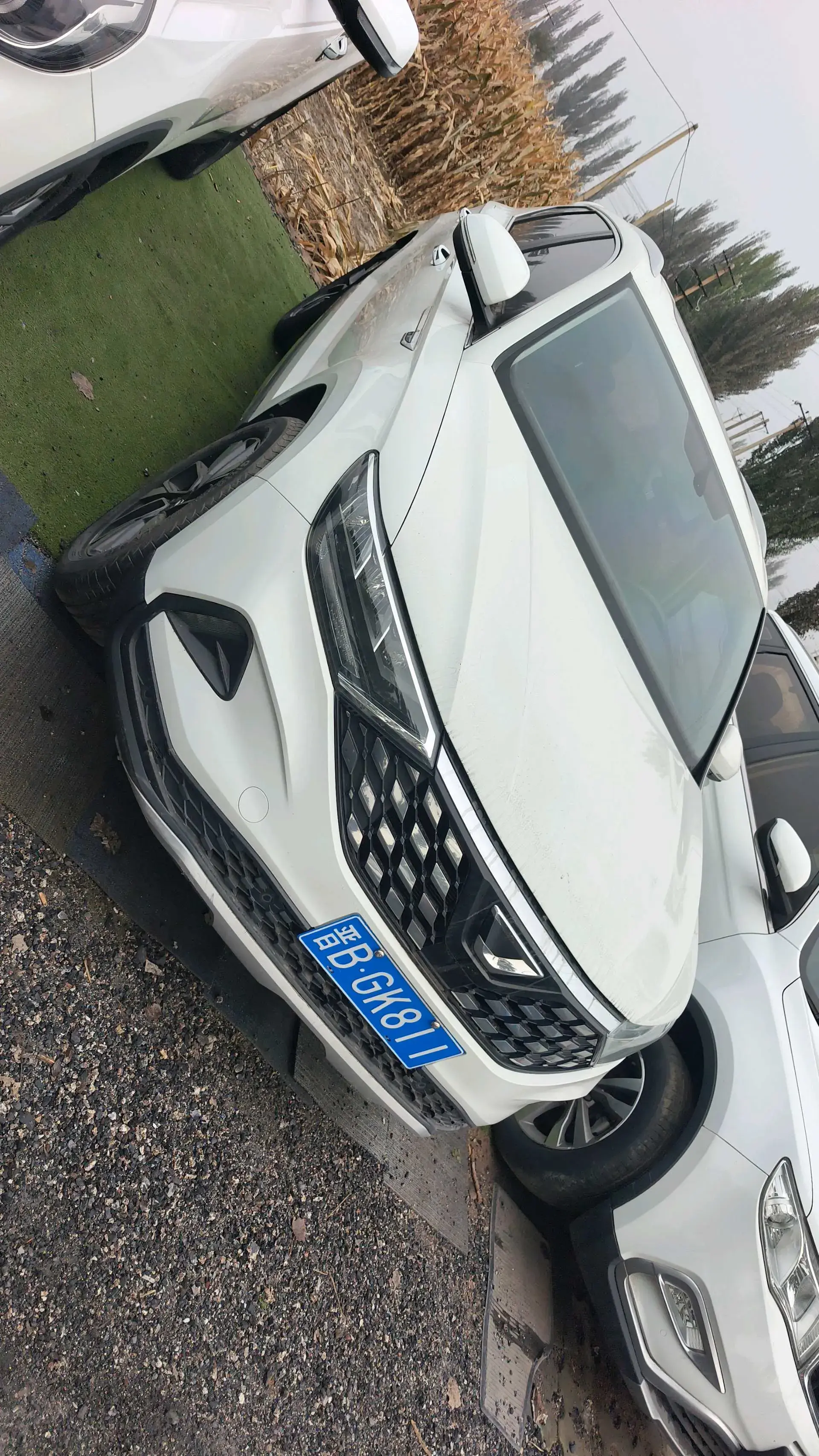 2019 JETTA VS5 thumbnail 2