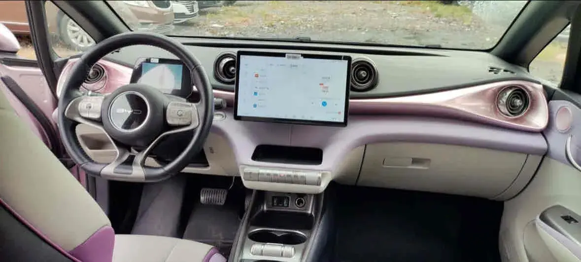 2021 BYD DOLPHIN thumbnail 3