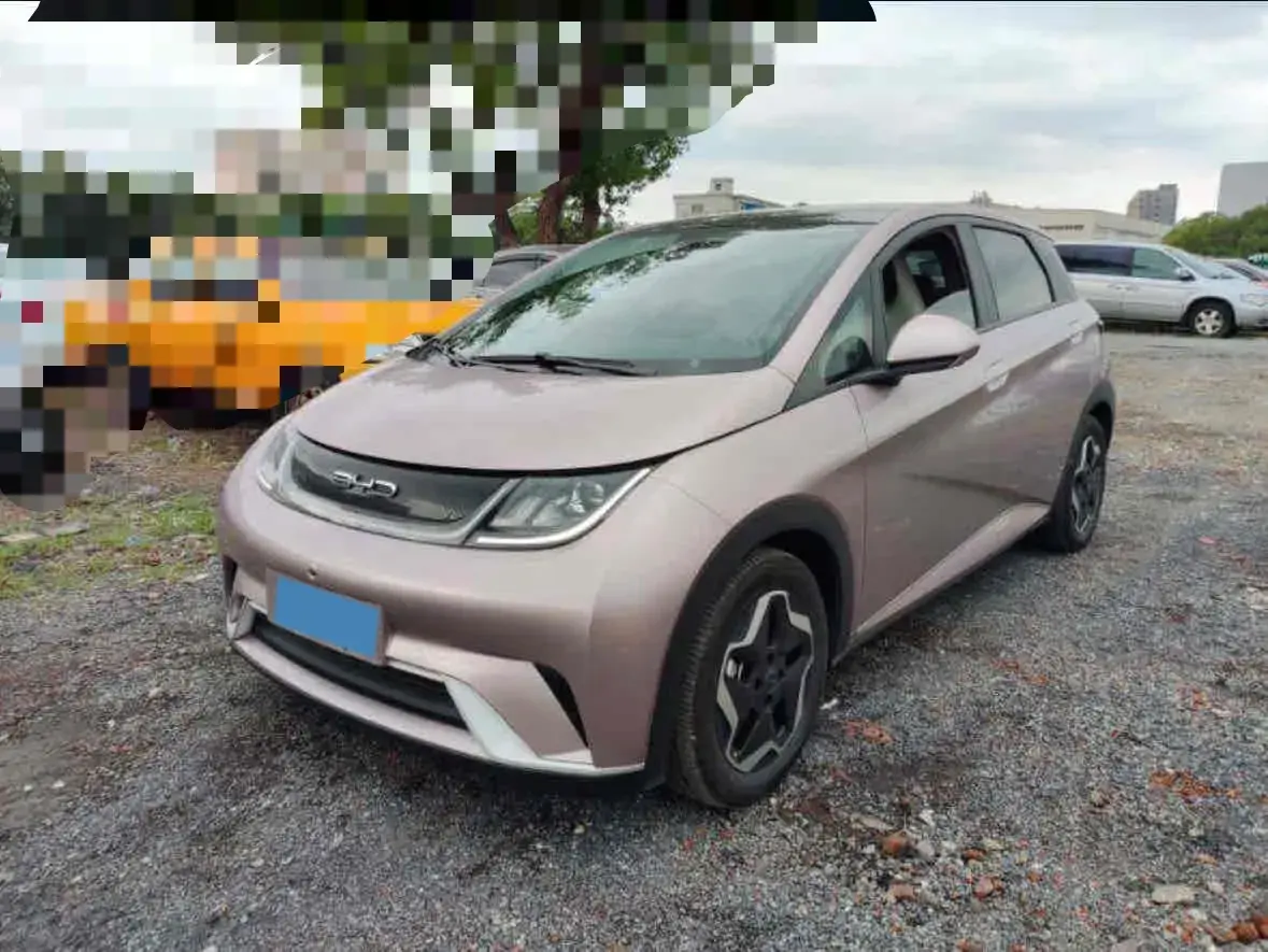 2021 BYD DOLPHIN view 1