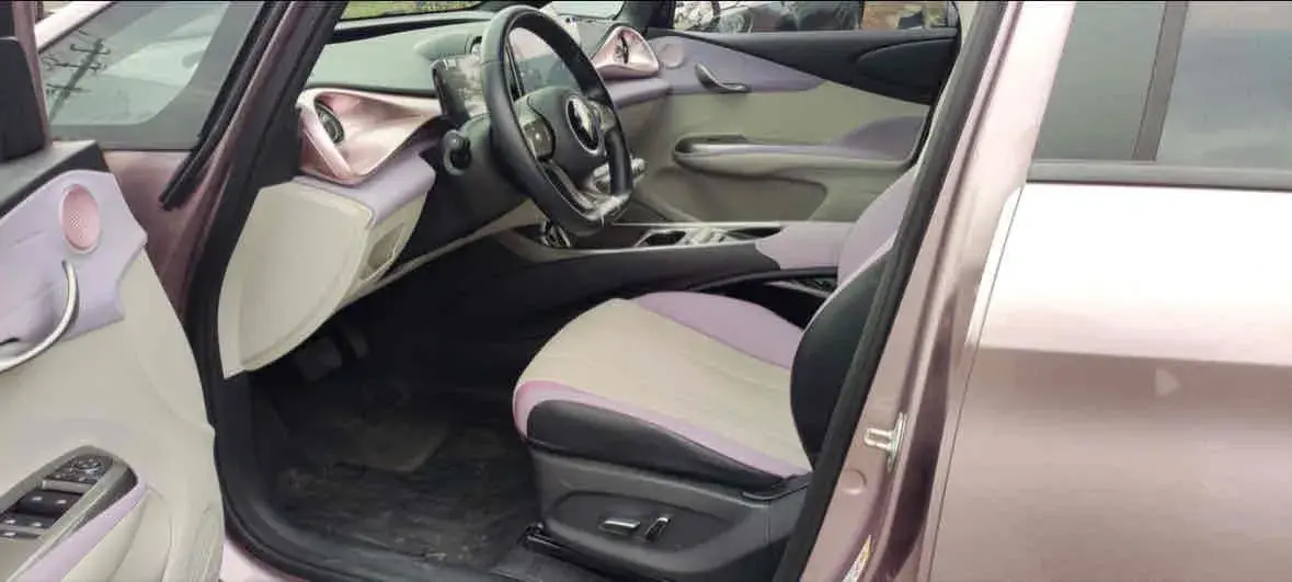 2021 BYD DOLPHIN thumbnail 2