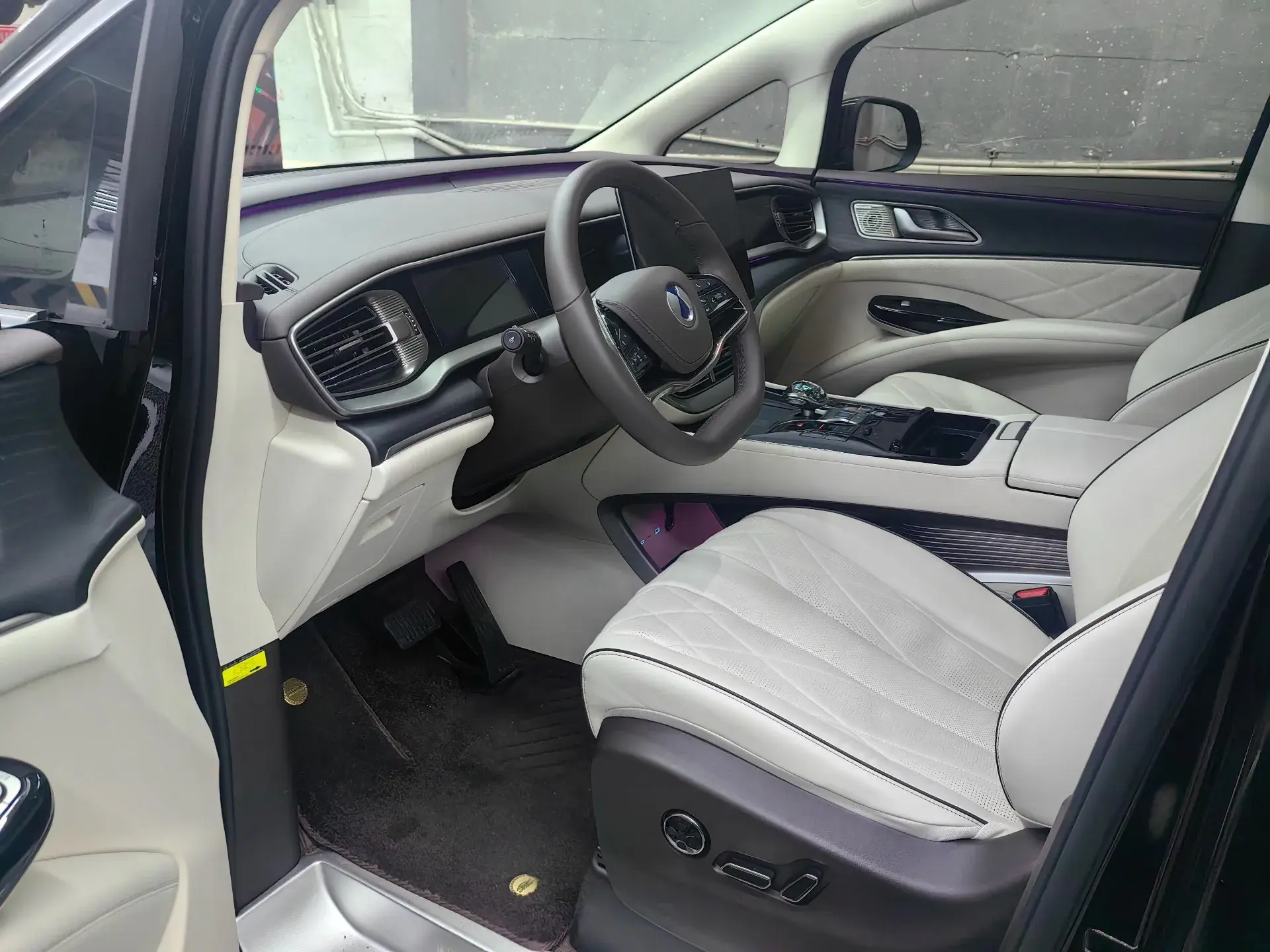 2024 DENZA D9 thumbnail 4