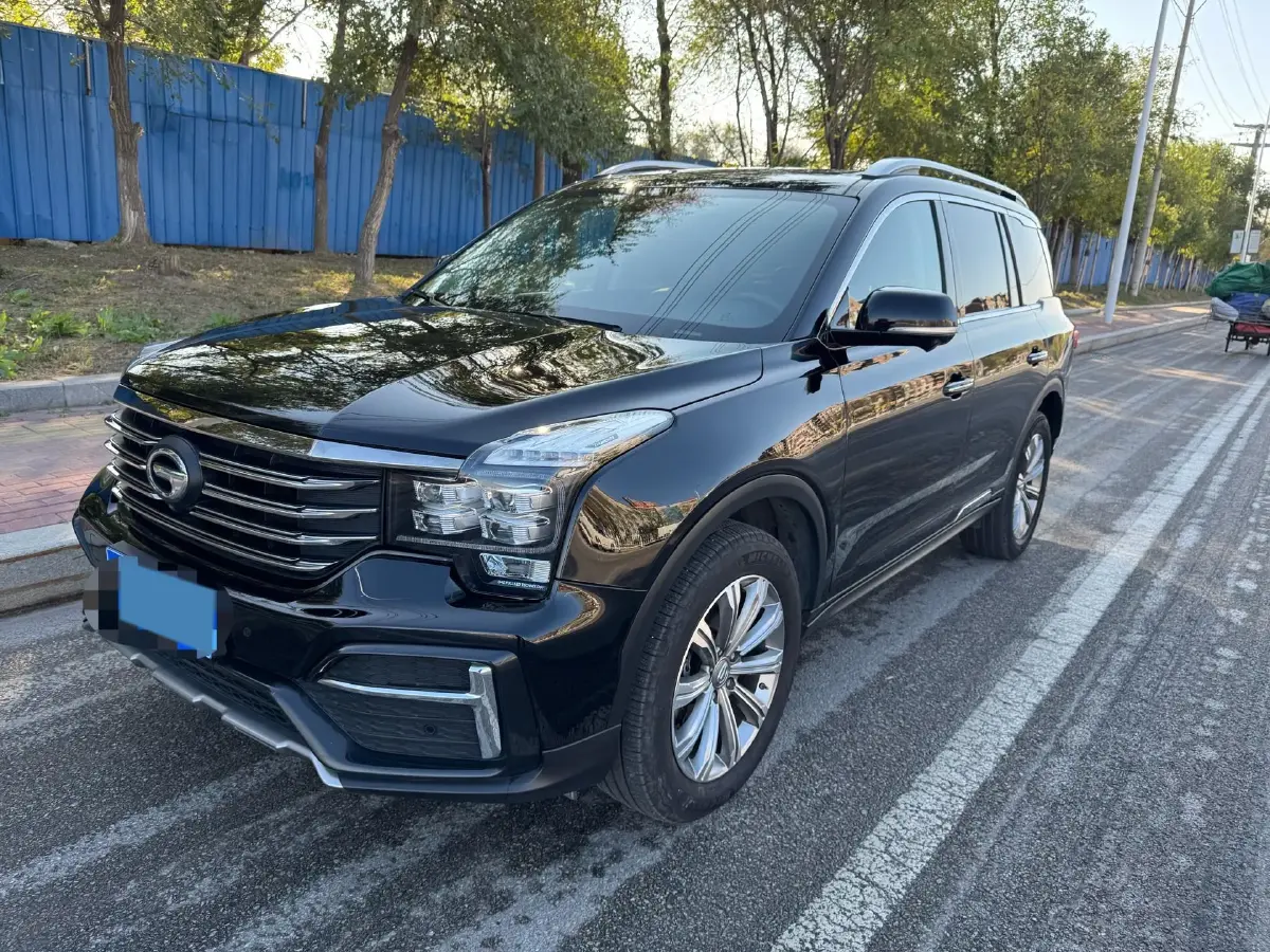 2020 GAC Trumpchi GS8 2.0T 252HP L4 6AT