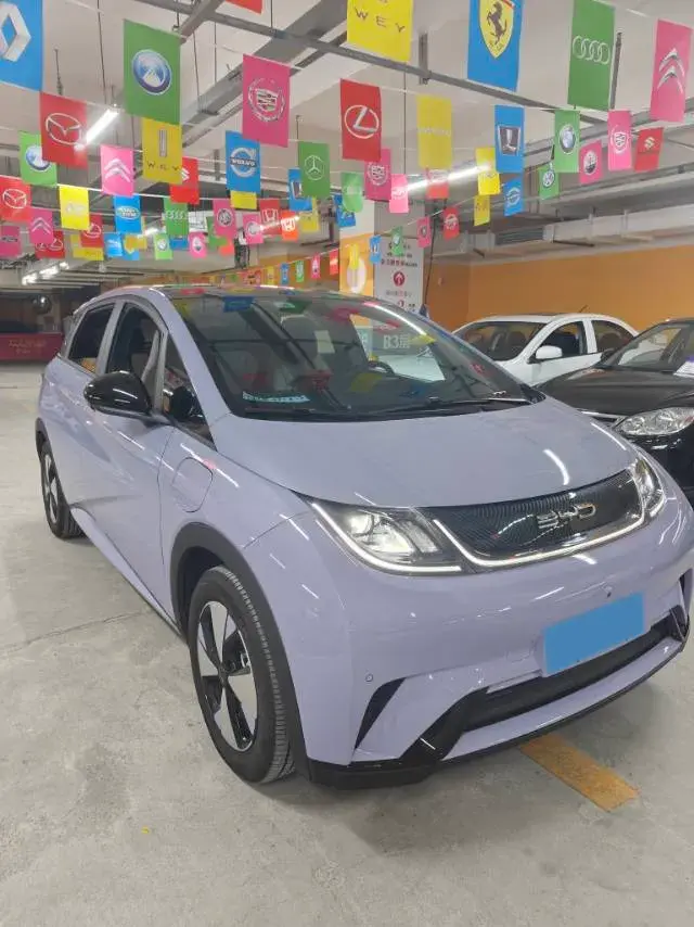 2023 BYD DOLPHIN thumbnail 3