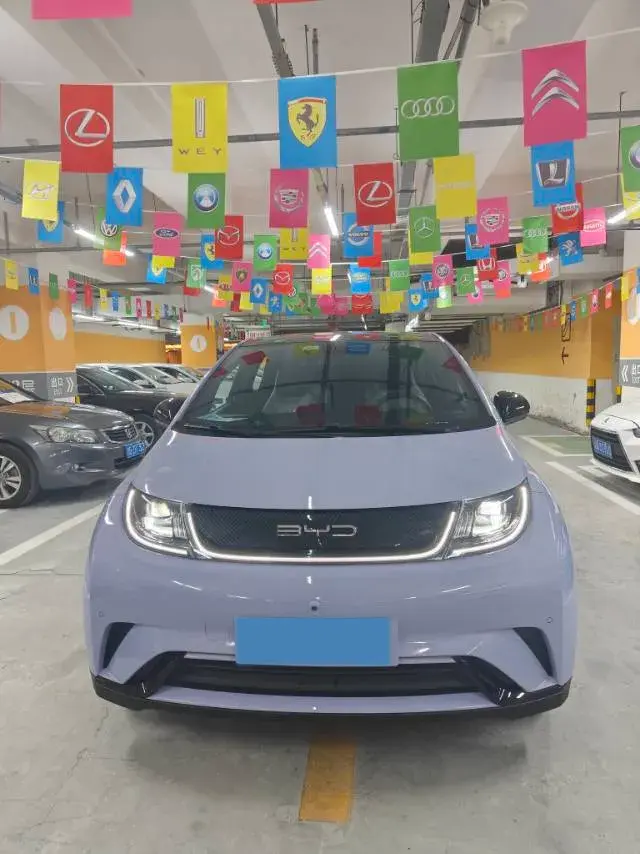 2023 BYD DOLPHIN thumbnail 2