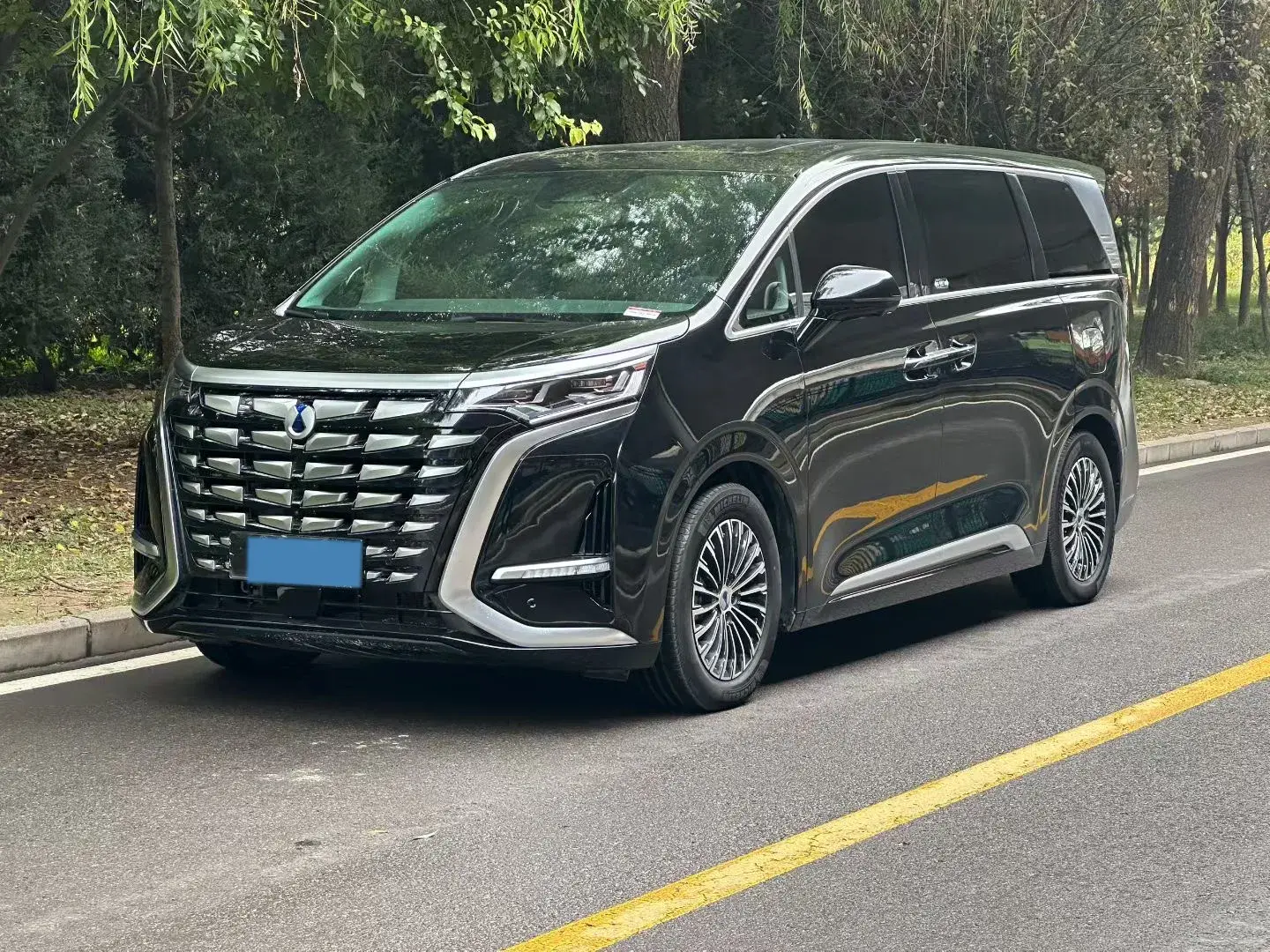 2022 DENZA D9 view 1