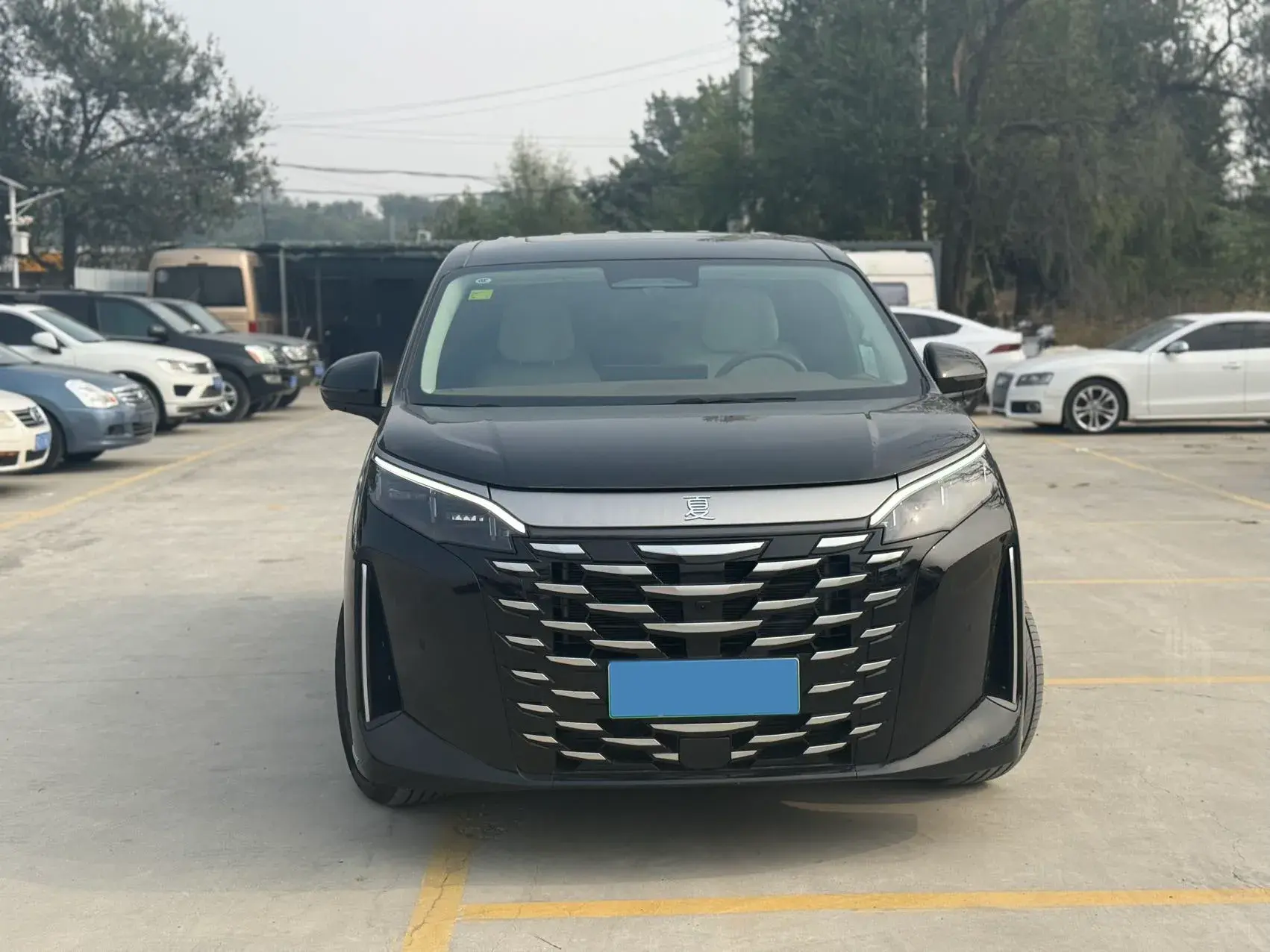 2025 BYD XIA thumbnail 2