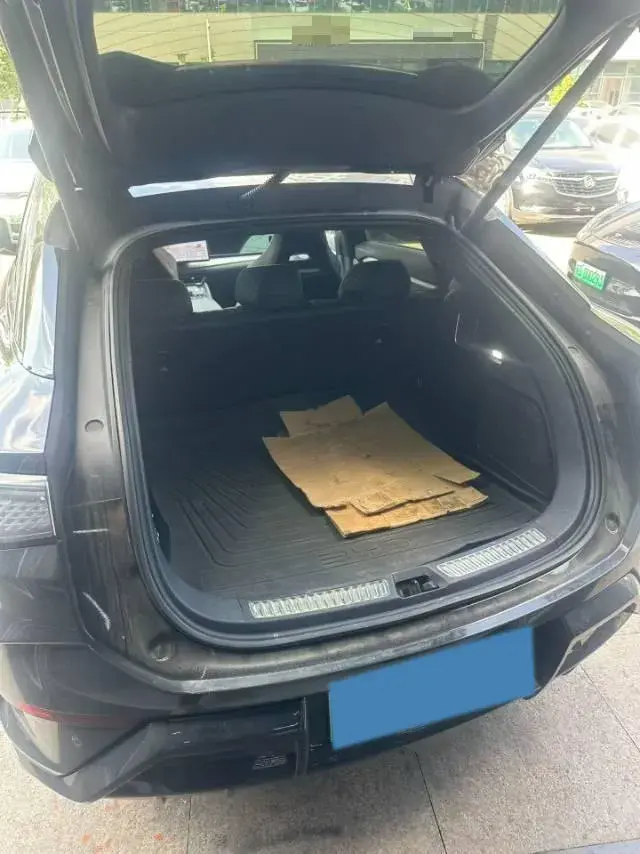 2024 BYD SEA thumbnail 3