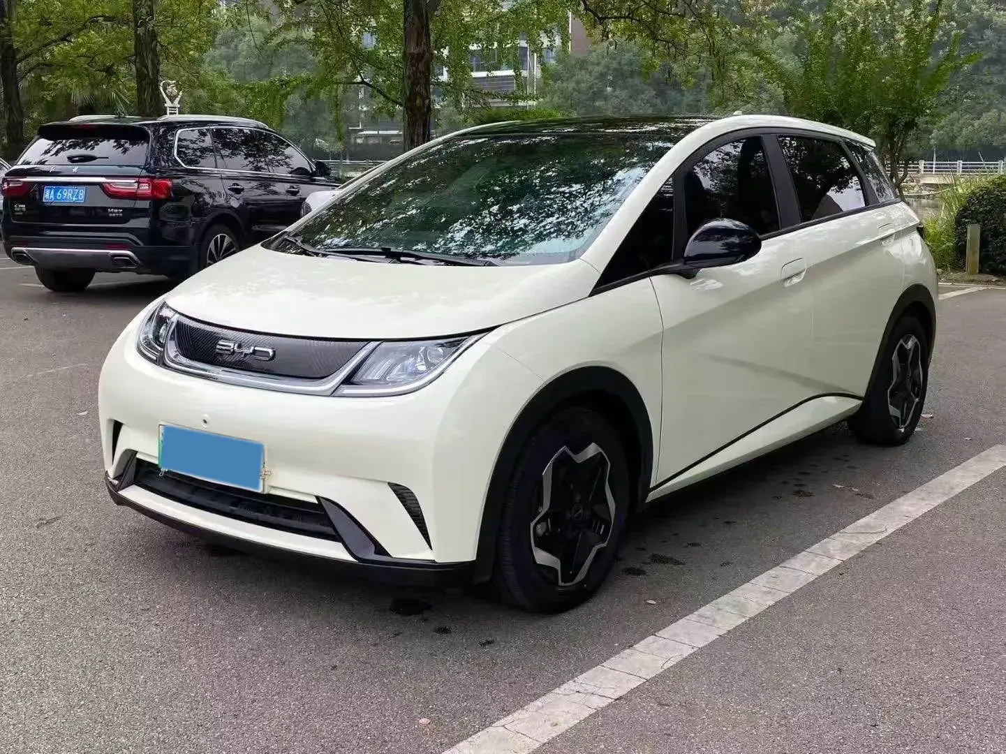 2021 BYD DOLPHIN view 1