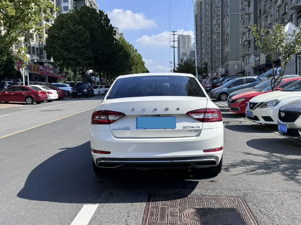 2019 Skoda Octavia 1.2T 116HP L4 7DCT,autocango,china used car exporter,china ev exporter,chinese used car exporter,chinese used ev exporter