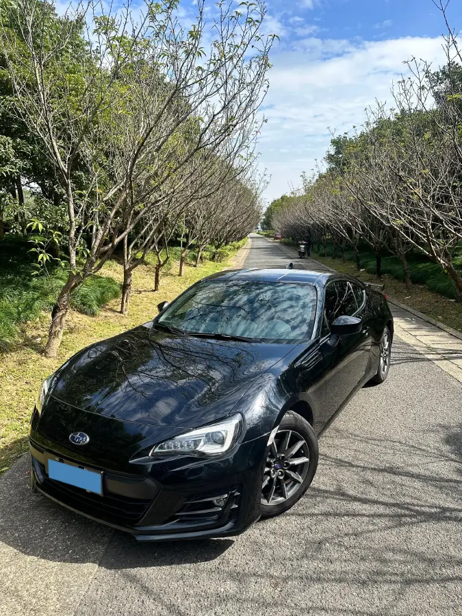 2019 Ford Focus 2.3T 280HP L4 6MT