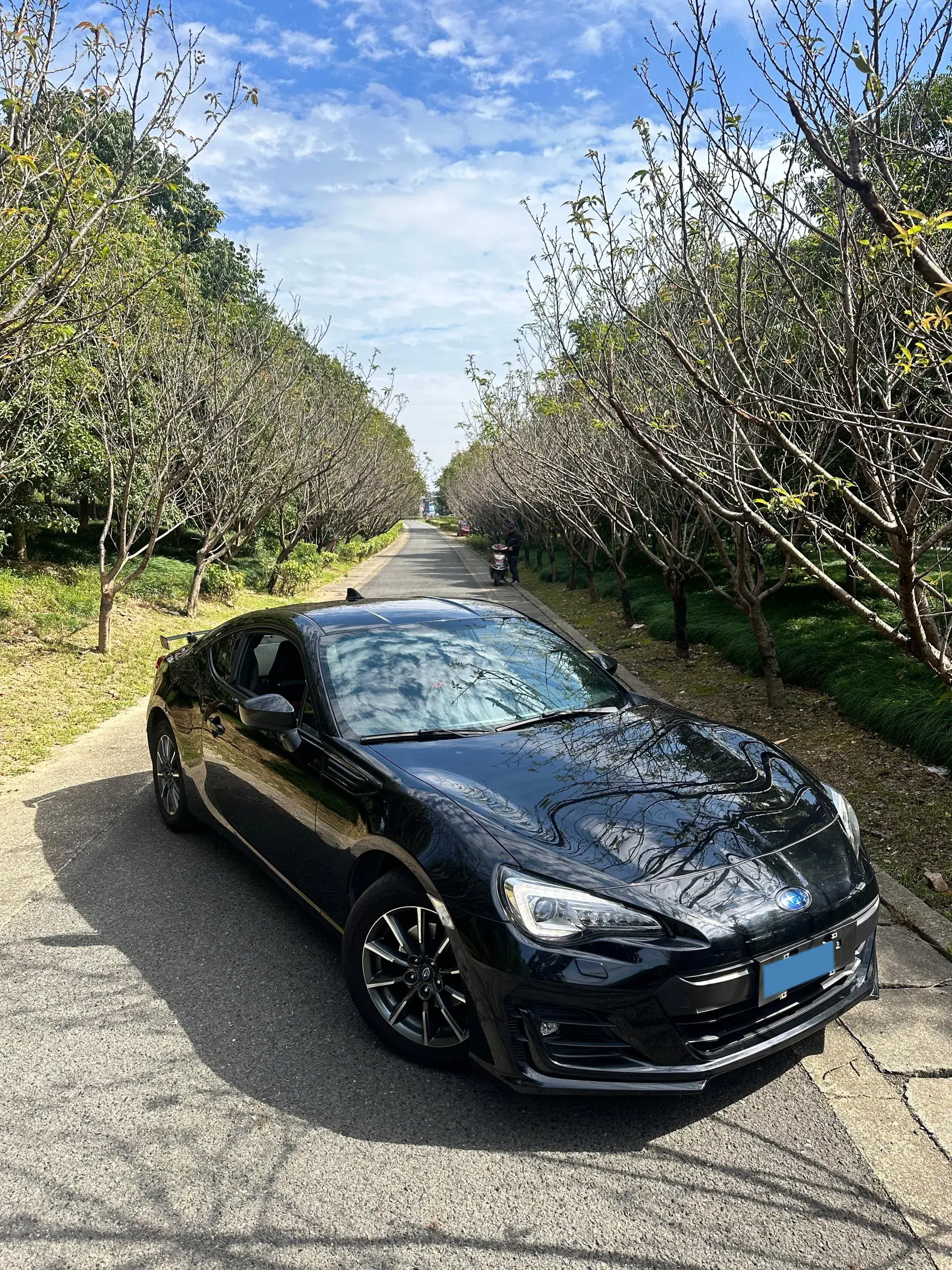 2023 FORD FOCUS thumbnail 2