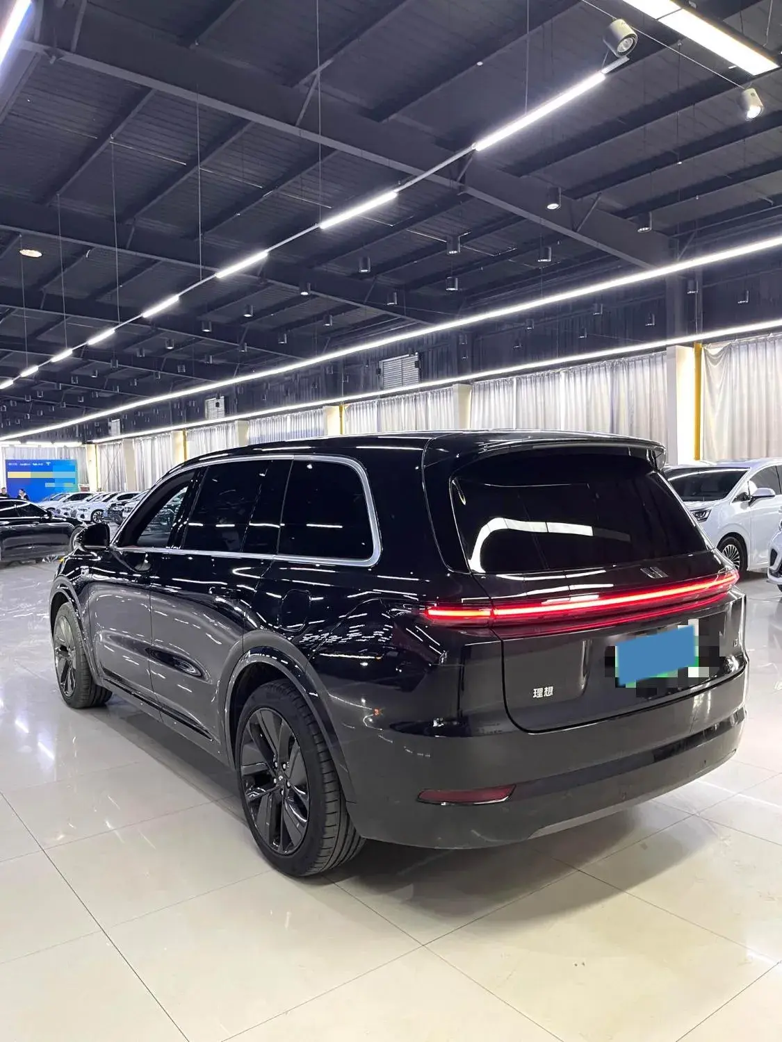 2022 LI L9 thumbnail 3