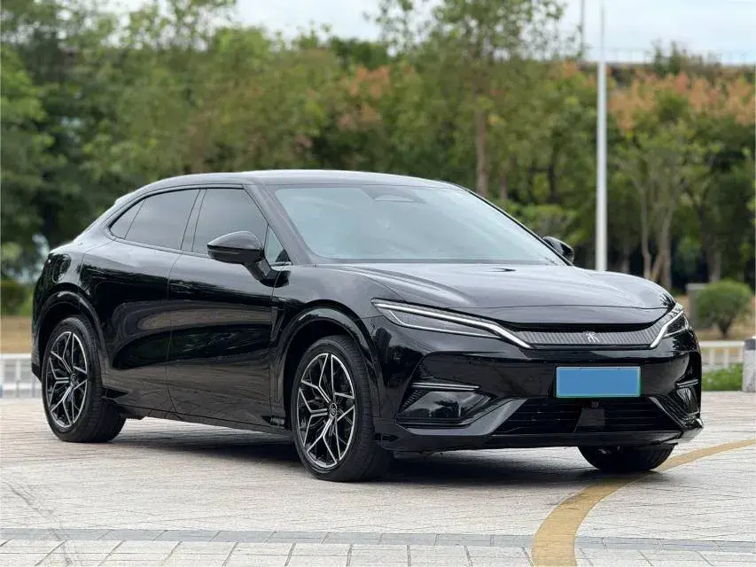 2024 BYD SONGL thumbnail 3