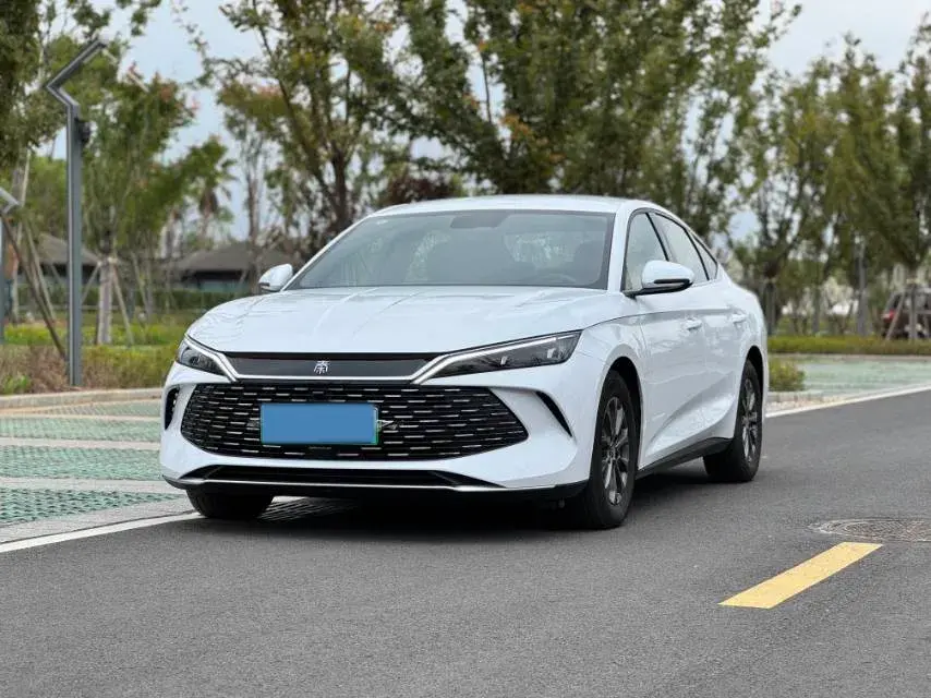 2024 BYD QINL view 1