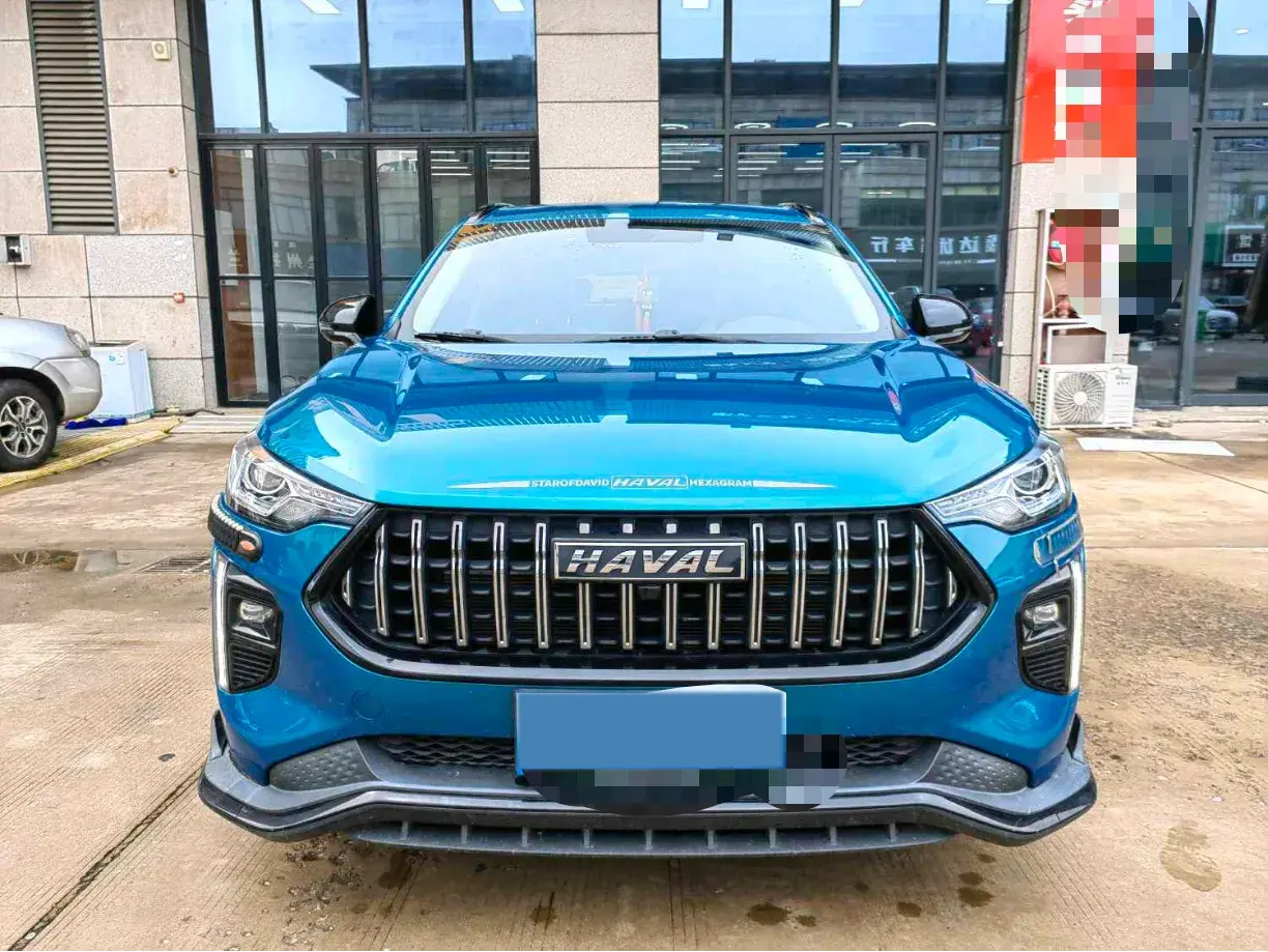 2021 HAVAL RABBIT thumbnail 2