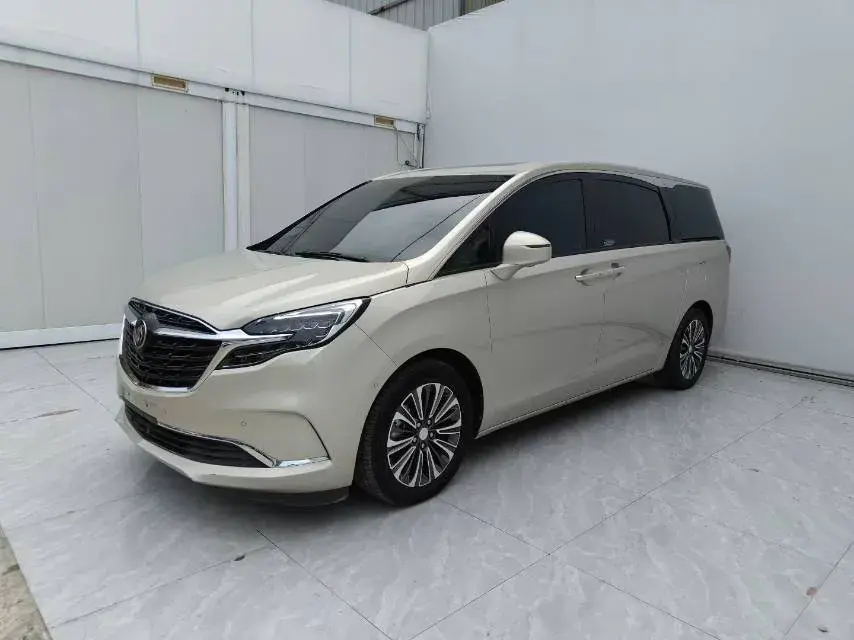 2021 BUICK GL8 view 1