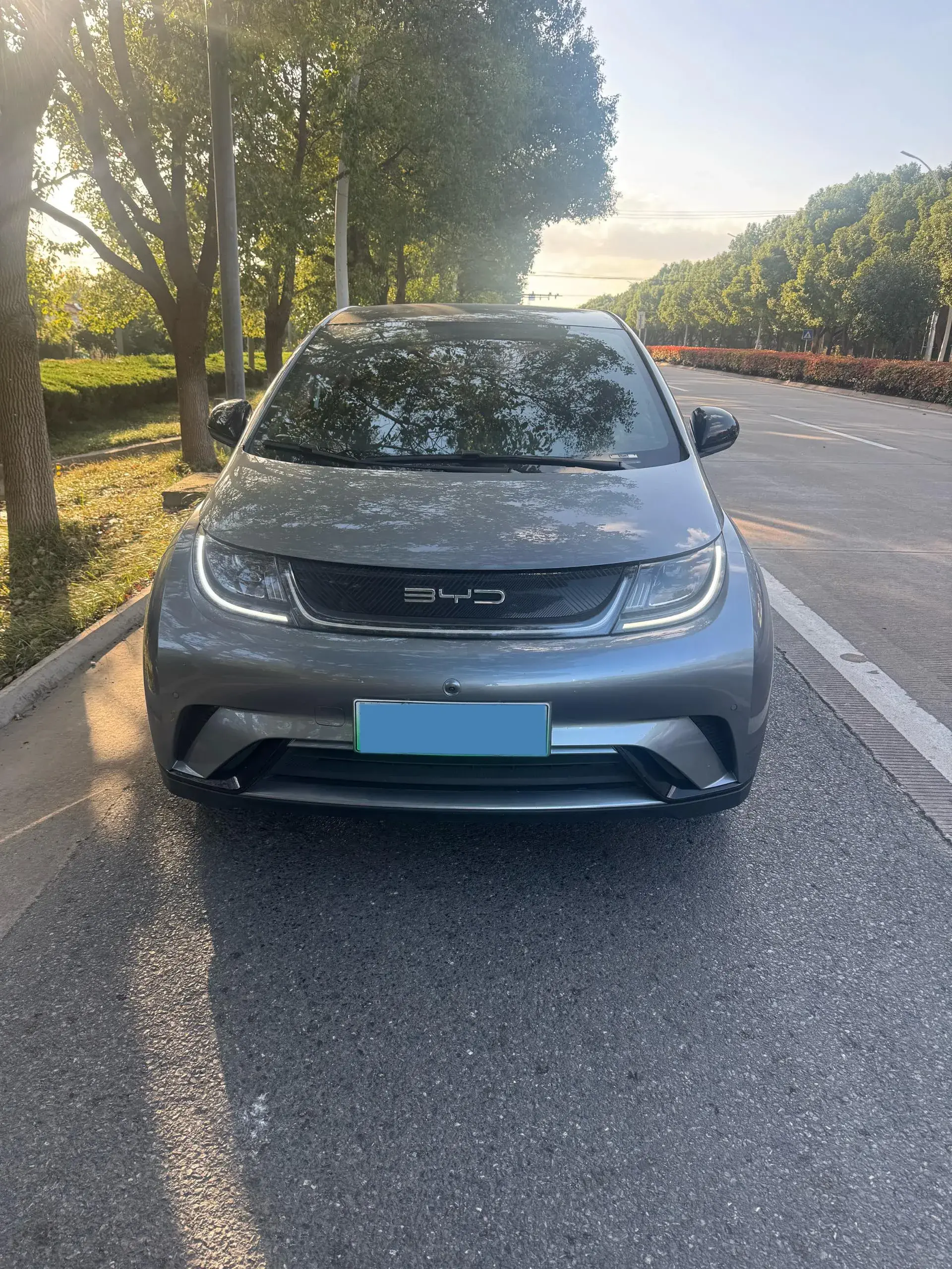 2023 BYD DOLPHIN thumbnail 2