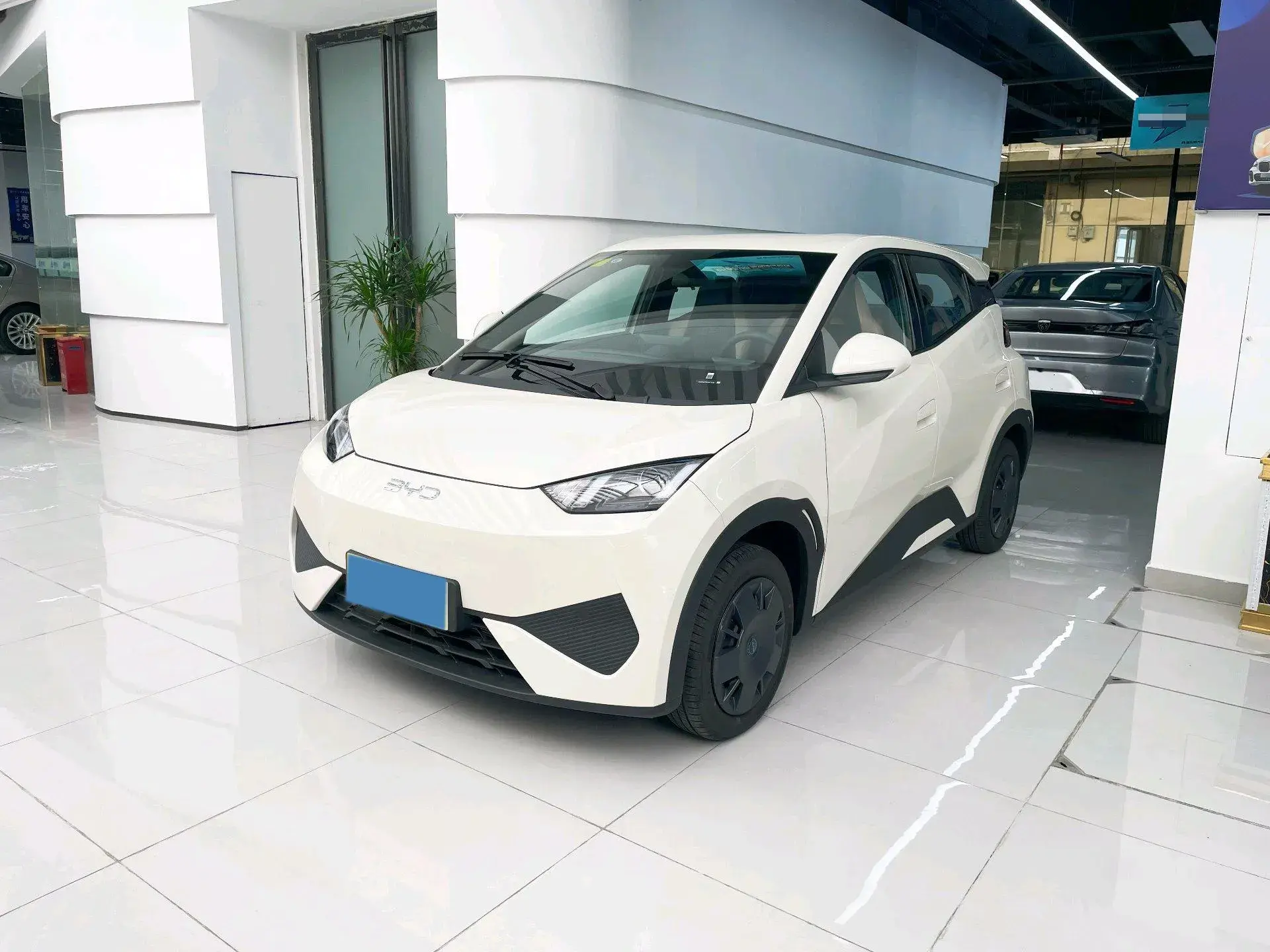 2025 BYD SEAGULL view 1