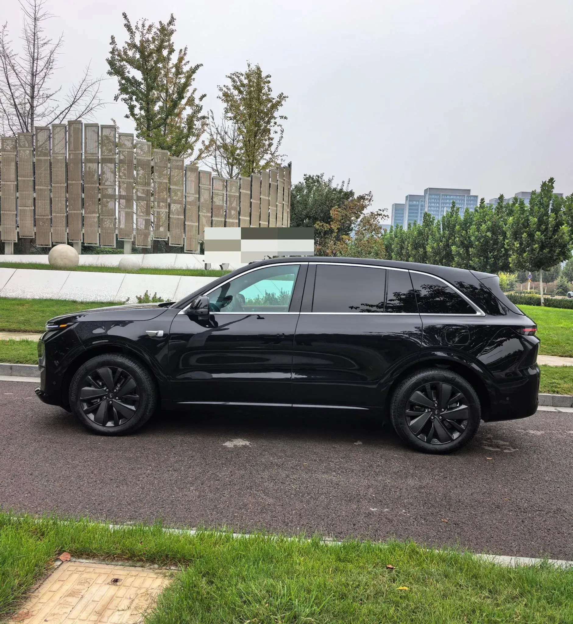 2025 LI L6 thumbnail 4