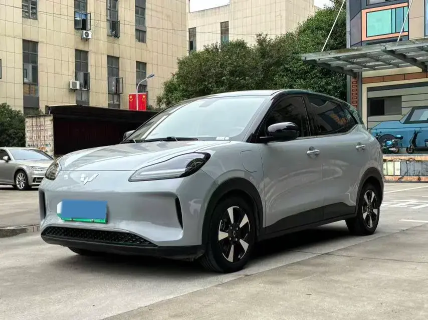 2024 WuLing BinGuoPLUS BEV 50.6KWH