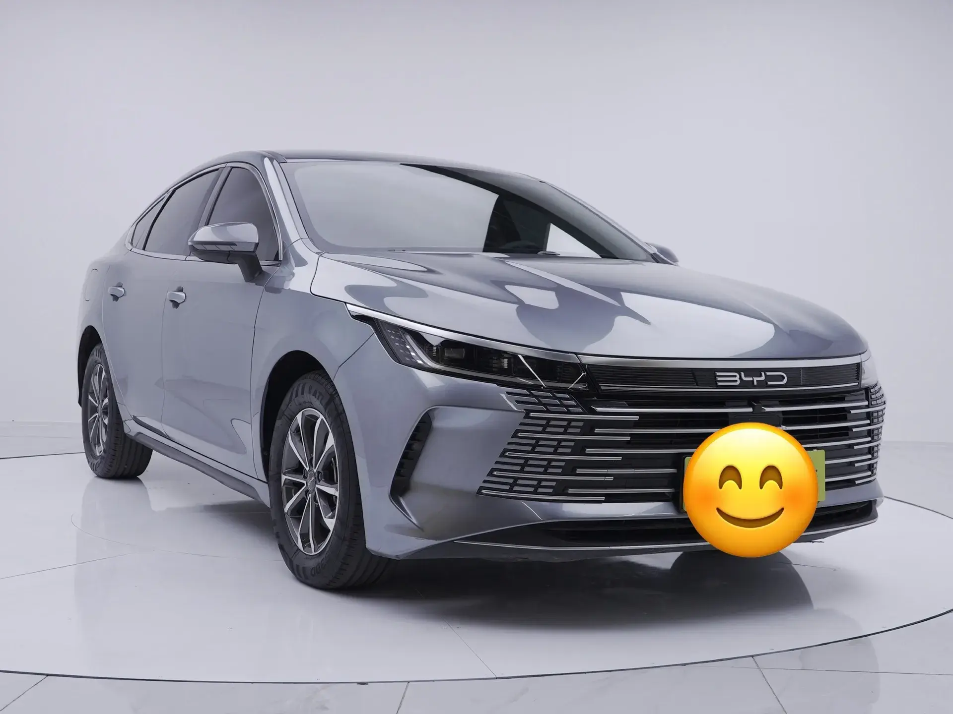 2023 BYD DESTROYER thumbnail 2