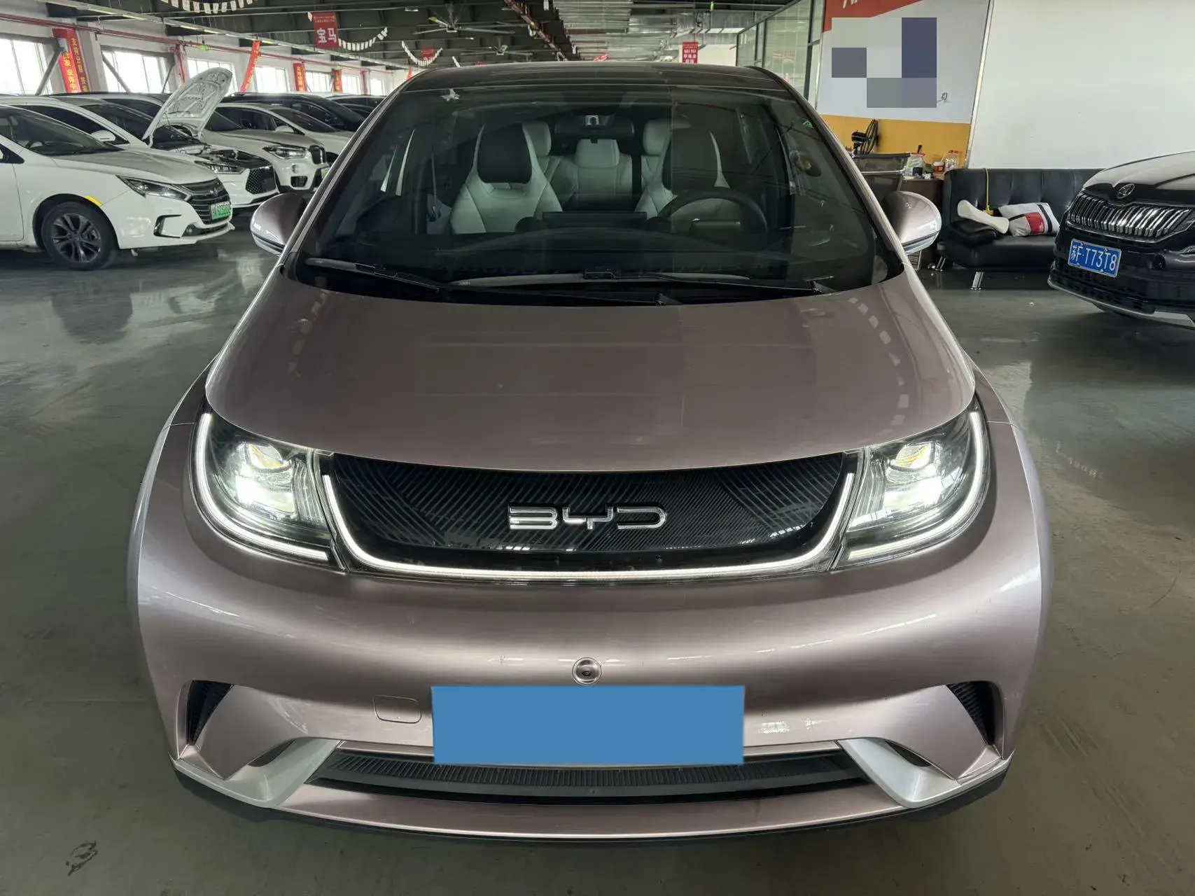 2021 BYD DOLPHIN thumbnail 2